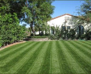 Freshly Cut Lawn - Lawn Maintenance and Services in Henderson, NV Freshly Cut Lawn - Lawn Maintenance and Services in Henderson, NV