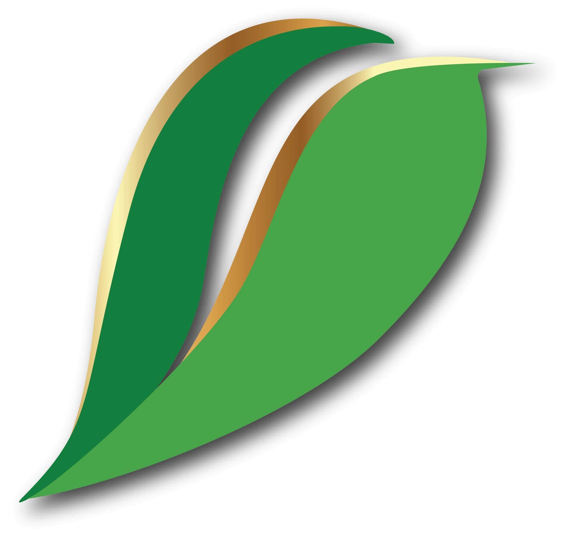 US GREEN Energy | SOMAH