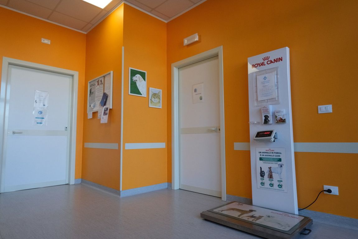 ambulatorio1