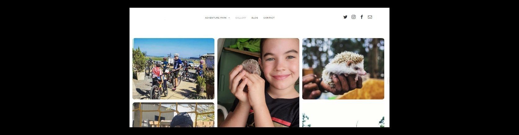 3 Wise Ladies Website Design and development