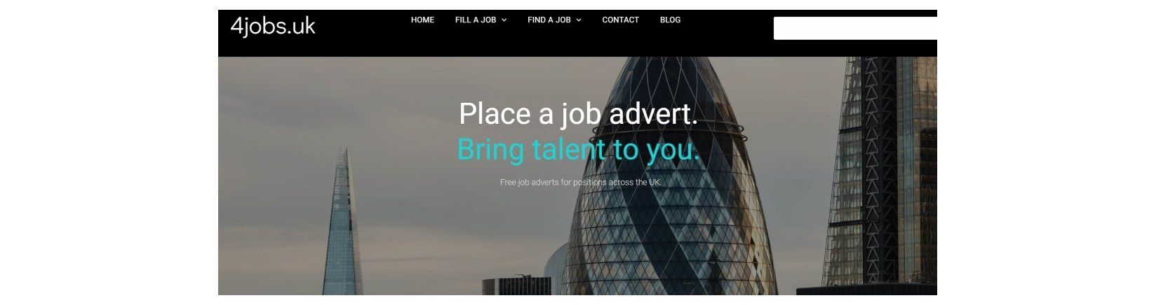 3 Wise Ladies Website Design and development