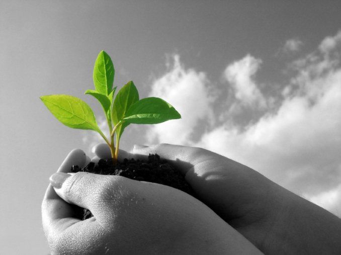 Emprendimiento, emprendedores y startups