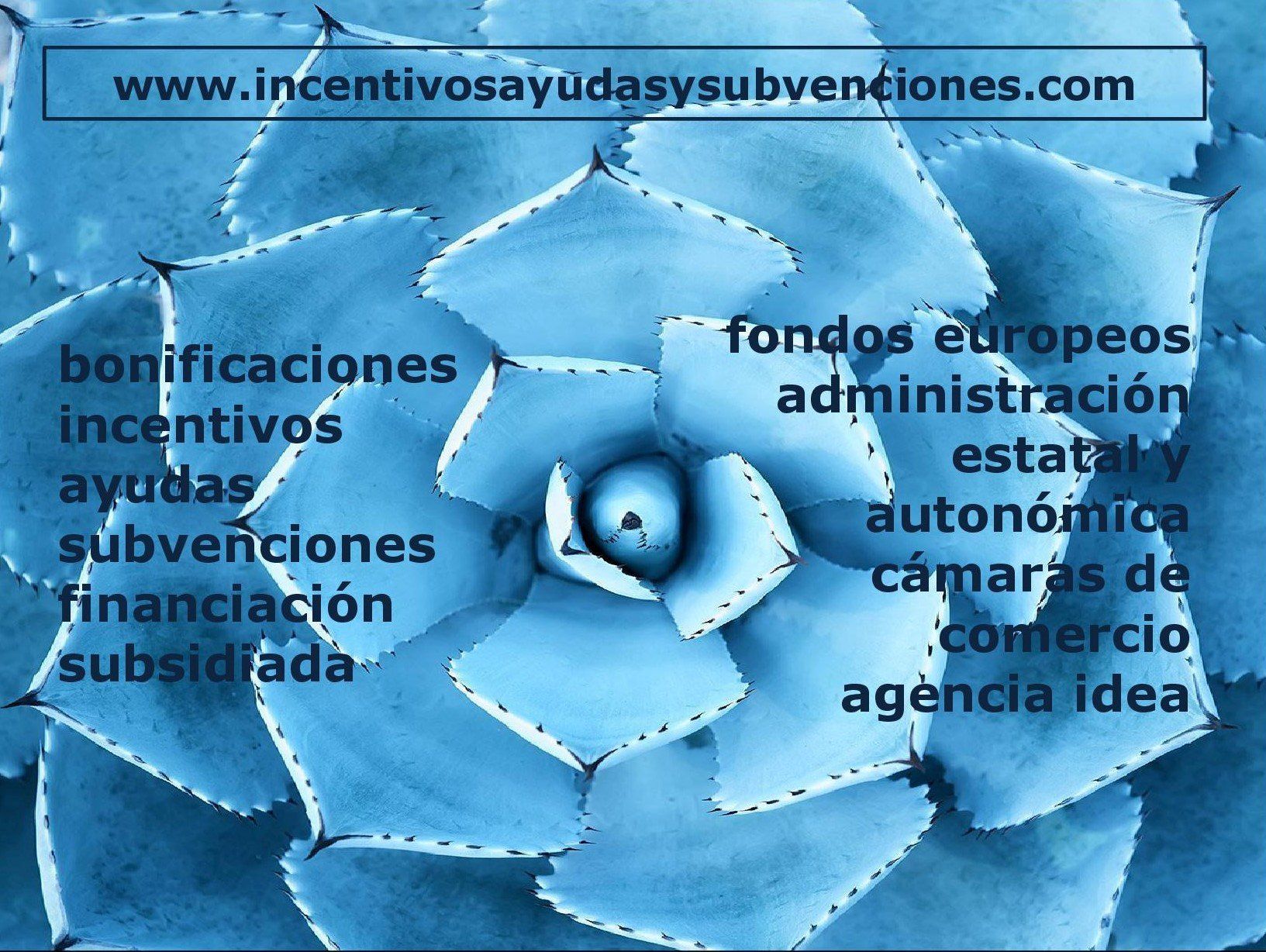 Visitar en modo seguro la web Incentivos, Ayudas y Subvenciones Incentivos, Ayudas y Subvenciones. Financiación Subsidiada.