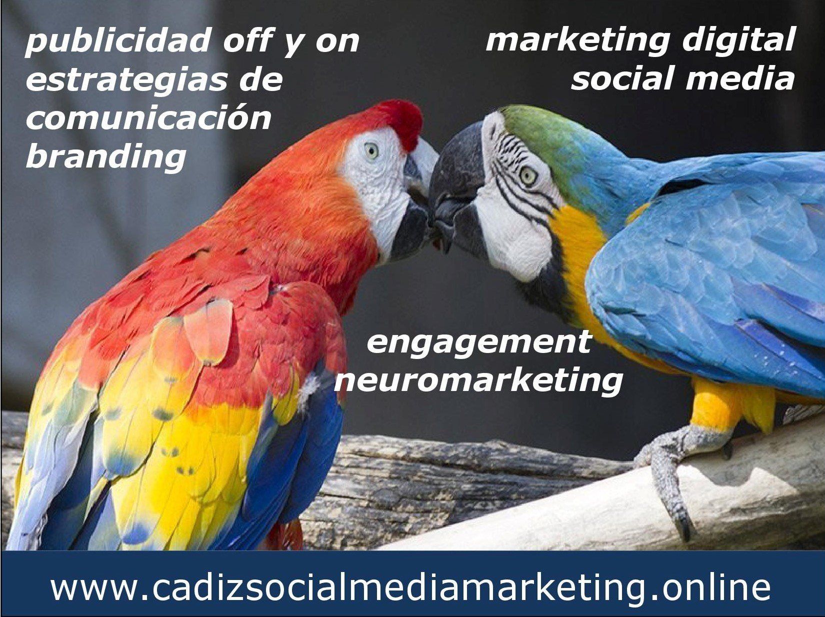 Marketing, Publicidad, Branding
