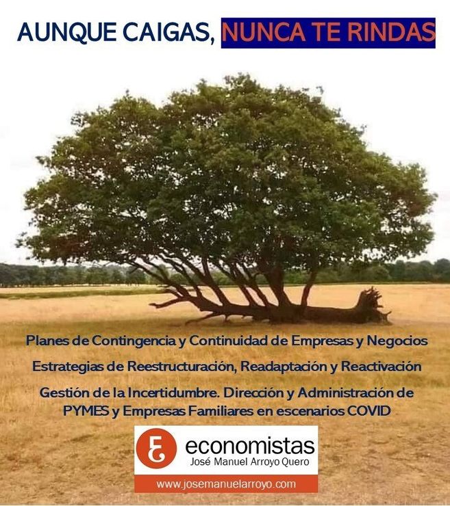 Economistas Planes de Contingencia y Reactivacion