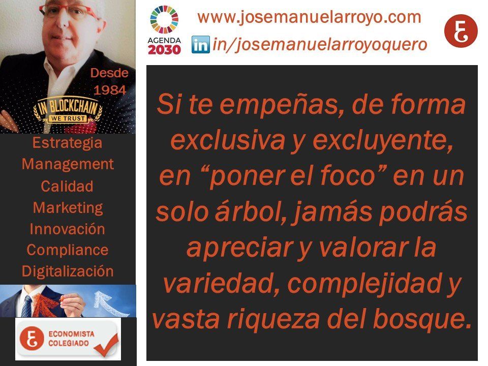 Asesor Empresarial. Poniendo el foco en su Empresa.