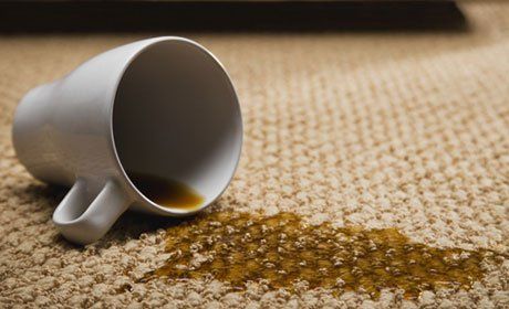 carpet and upholstery cleaning services
