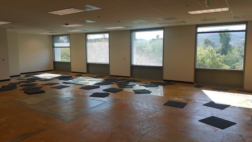 An empty room with a lot of windows and a wooden floor.