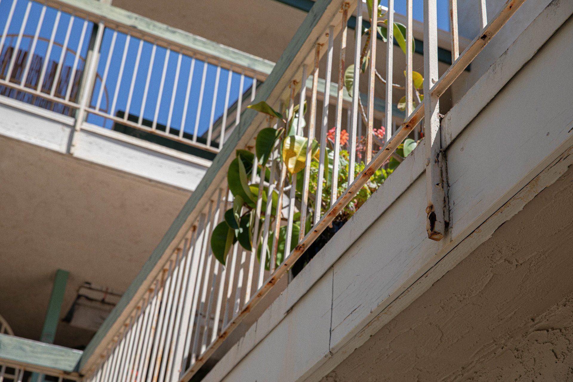 A balcony with a white railing and flowers on it