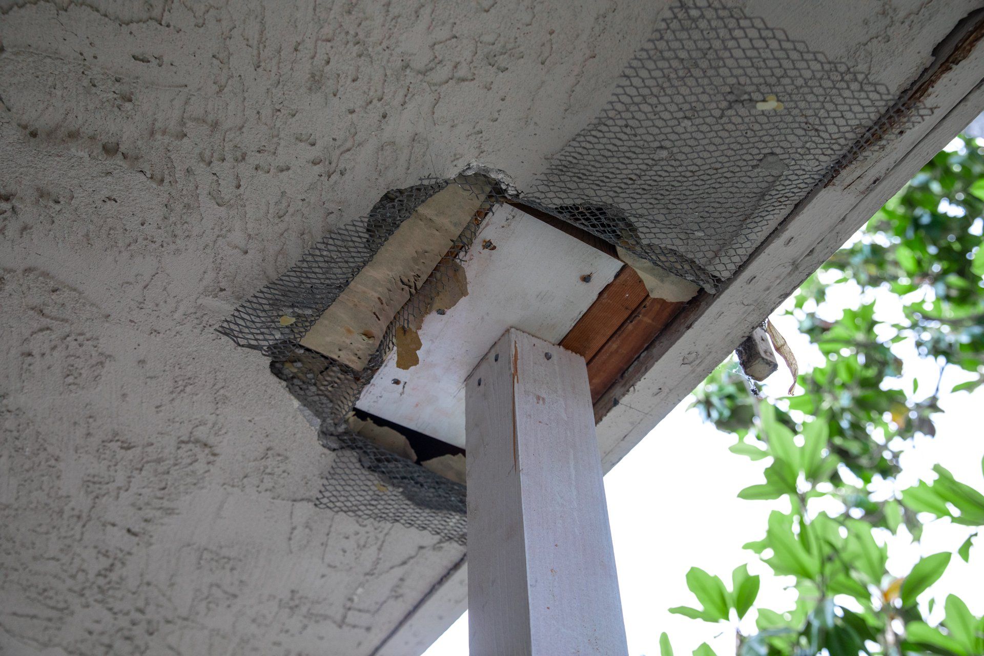 A ceiling with a hole in it and a tree in the background