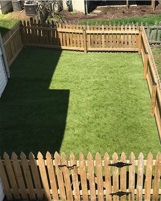 Vert After Dog Grass – Lexington, KY – Mow-Mow’s Family Landscaping Vert After Dog Grass – Lexington, KY – Mow-Mow’s Family Landscaping
