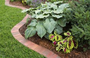 Curved Garden Border – Lexington, KY – Mow-Mow’s Family Landscaping