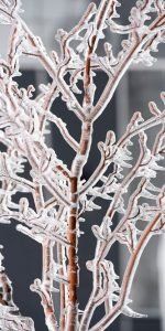 Frosted Branches – Lexington, KY – Mow-Mow’s Family Landscaping Frosted Branches – Lexington, KY – Mow-Mow’s Family Landscaping