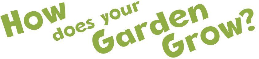 How Does Your Garden Grow – Lexington, KY – Mow-Mow’s Family Landscaping