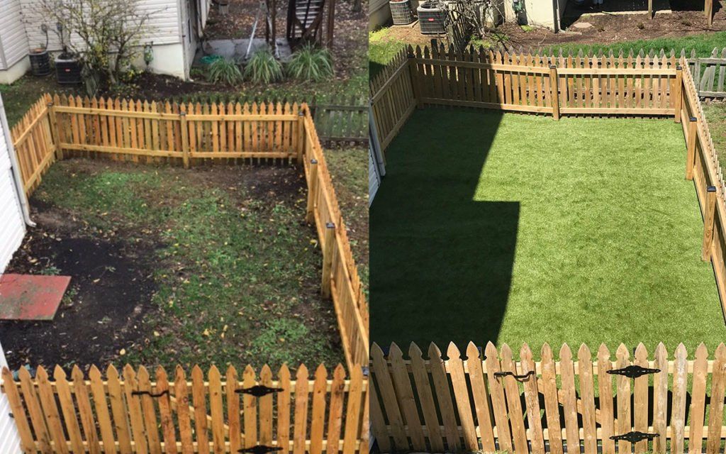Before And After Dog Turf – Lexington, KY – Mow-Mow’s Family Landscaping
