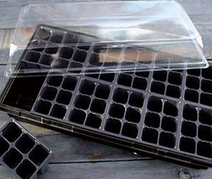 Seedling  Starter Kit – Lexington, KY – Mow-Mow’s Family Landscaping