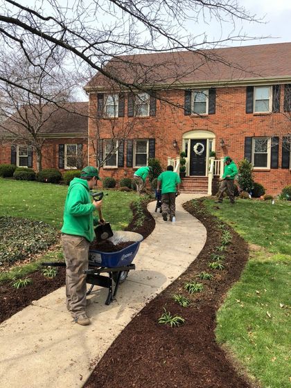 Trimming — Workers in Lexington, KY