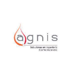 Es un logotipo para una empresa llamada agnis.