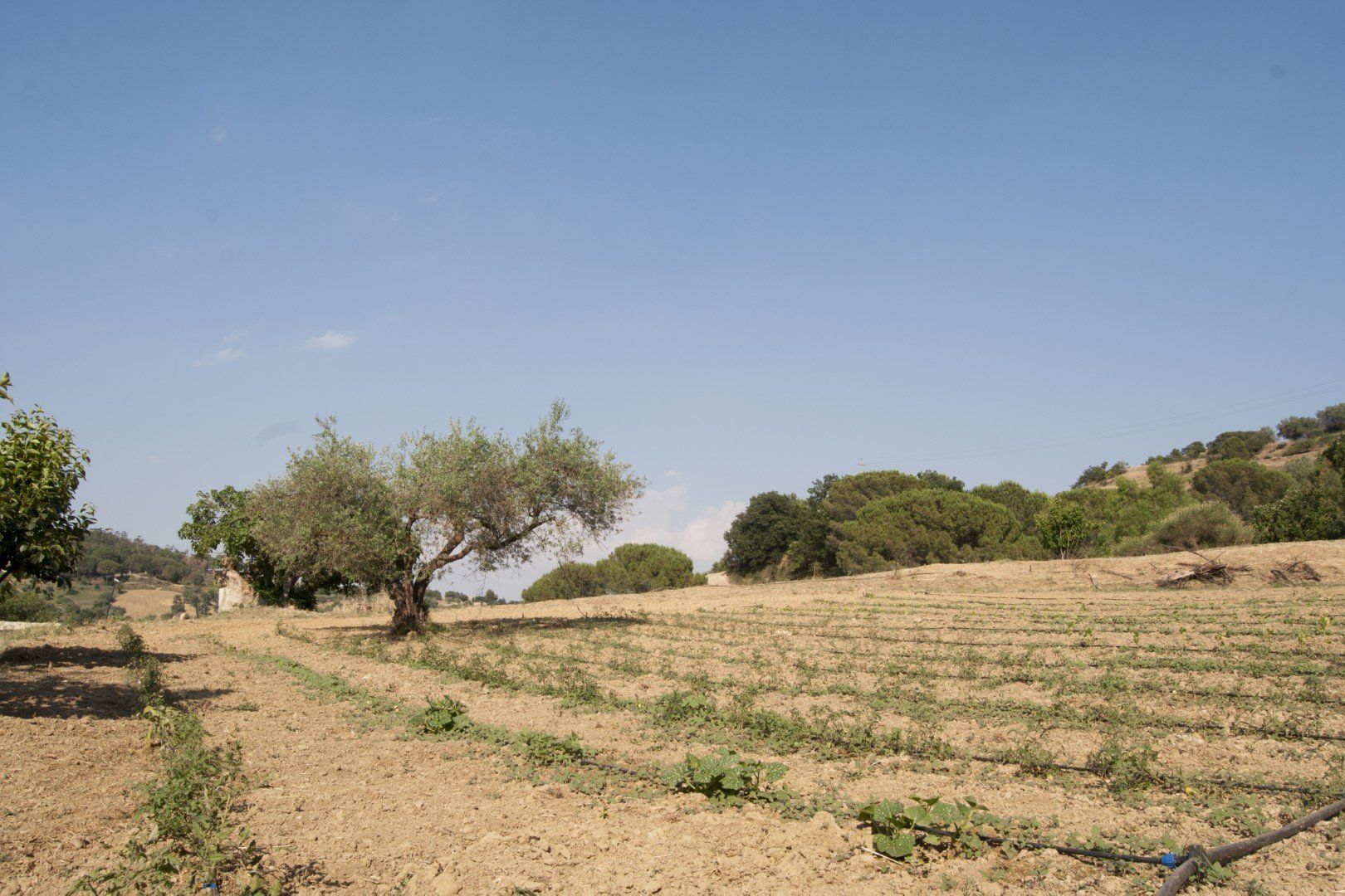 fields outside