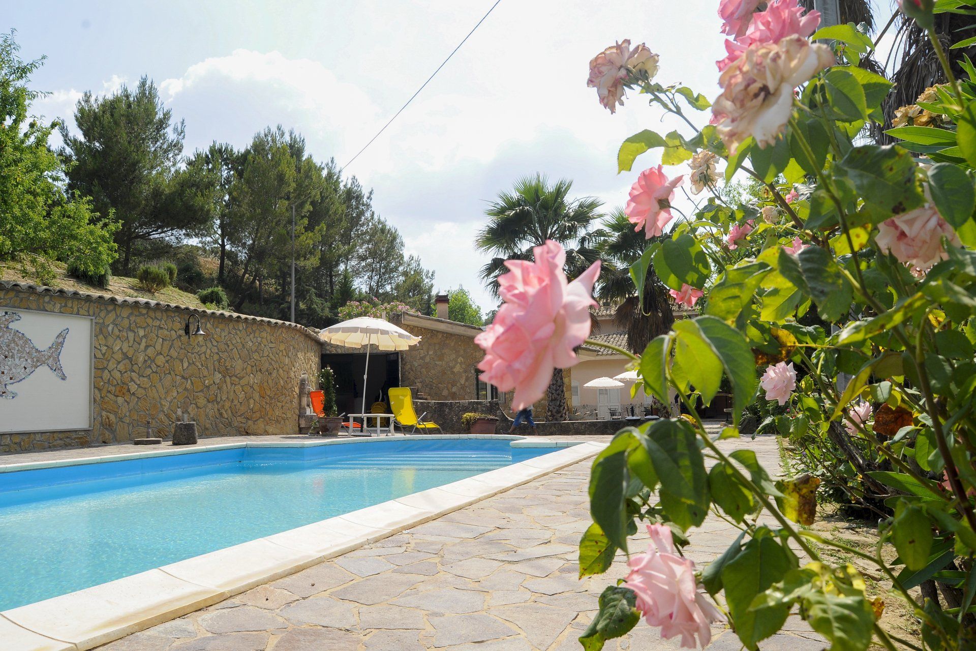 pool B&B 4