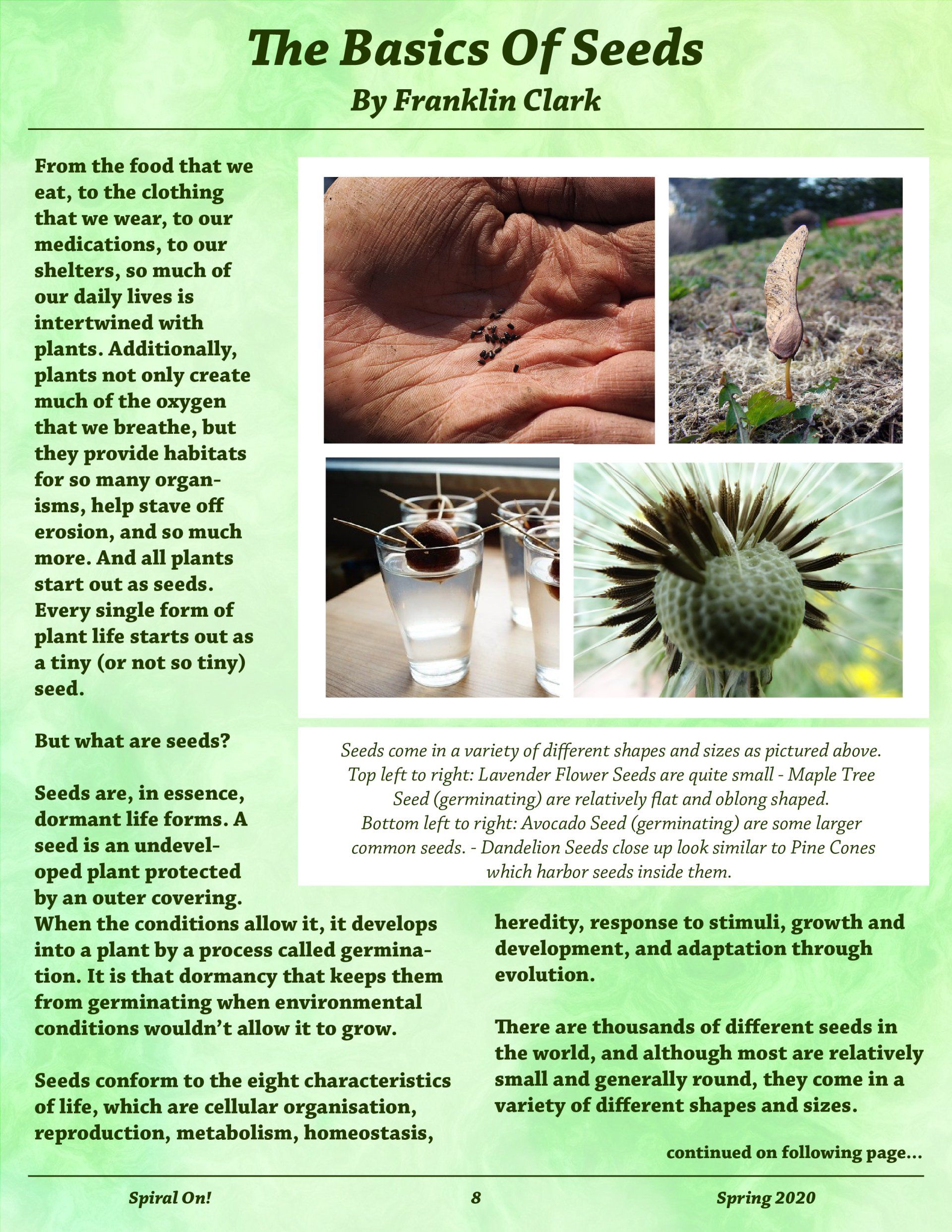 A poster about the basics of seeds by franklin clark, Spring 2020 magazine.