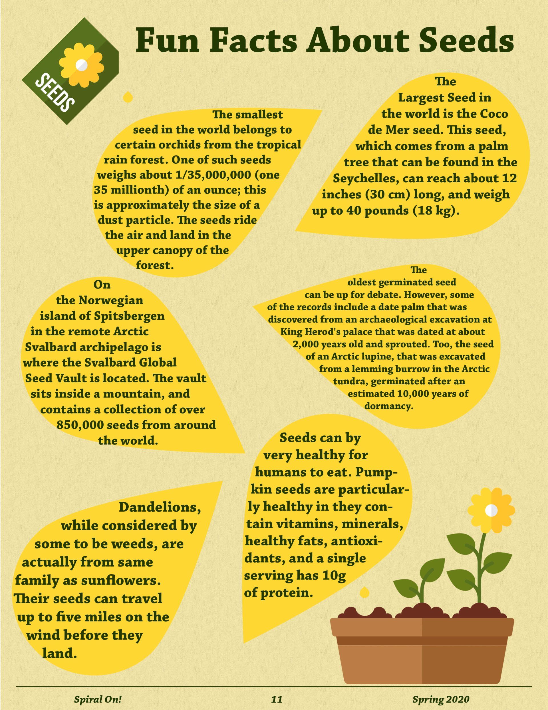 A poster with fun facts about seeds on it, spring 2020 magazine.