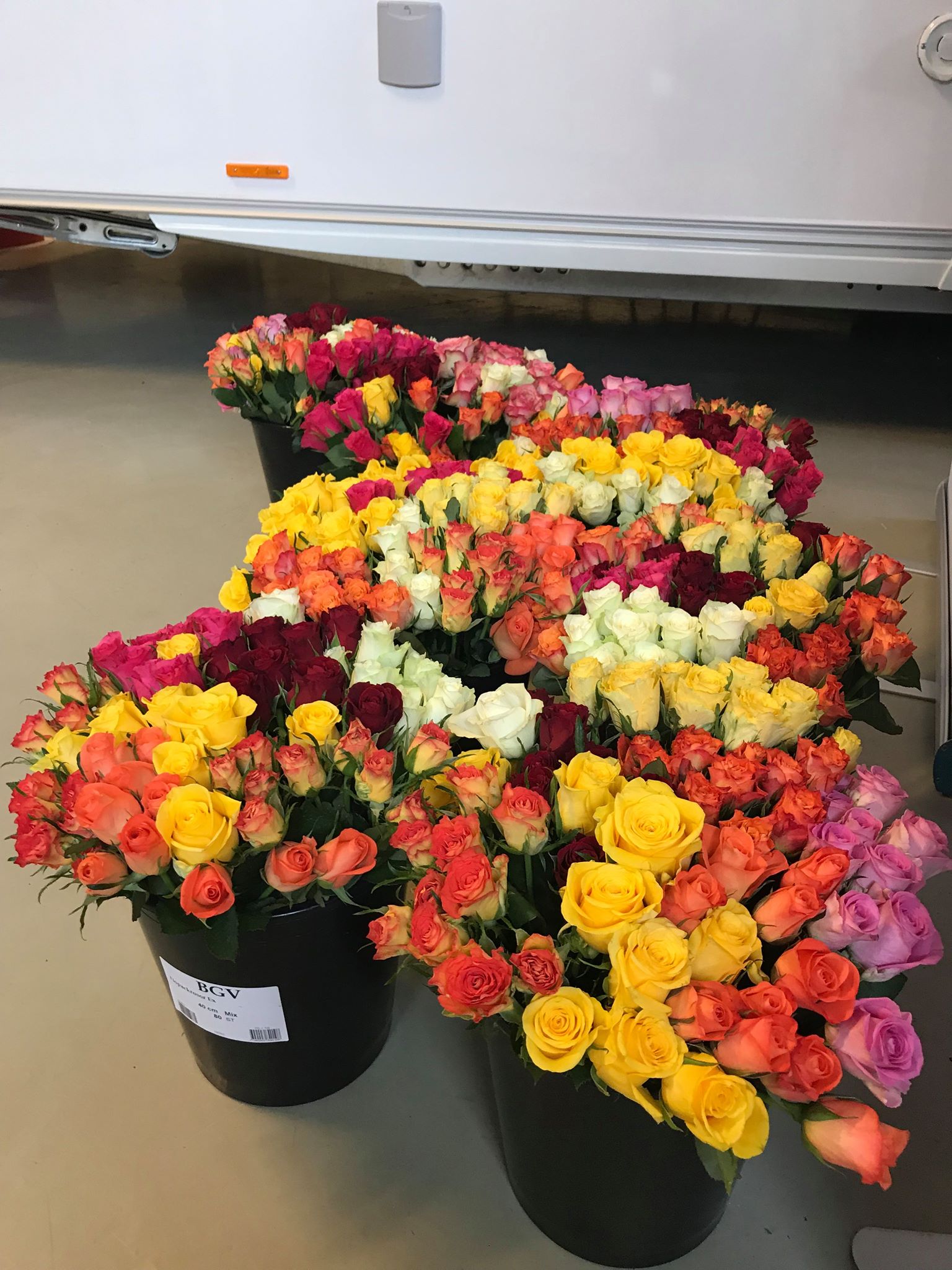 Buckets overflowing with colorful roses, including red, pink, yellow, and orange, on a light-colored floor.