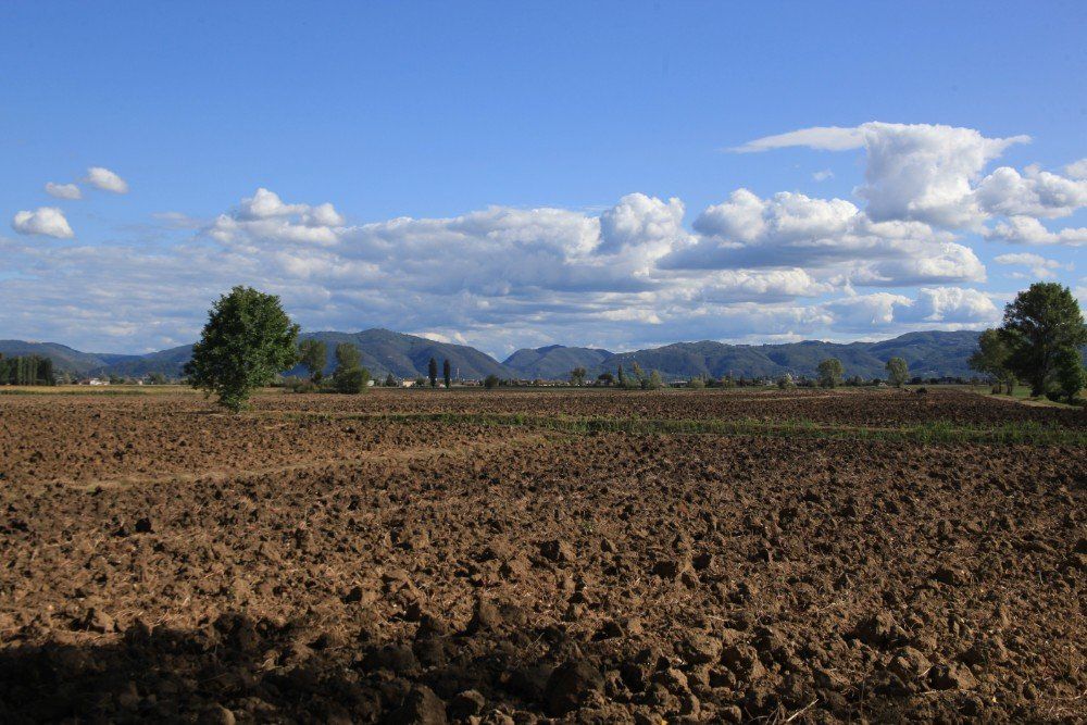 Gepflügtes braunes Feld unter blauem Himmel mit flauschigen Wolken, mit Bäumen und Bergen in der Ferne.