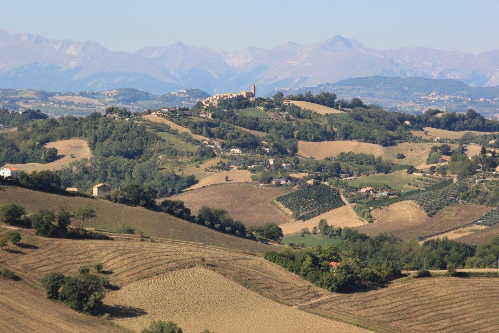 Sanfte Hügel und Felder in ländlicher Landschaft, mit einer Bergstadt und Bergen in der Ferne.