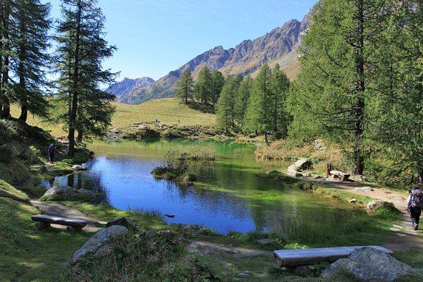 Eine Bergseeszene mit klarem, blauem Wasser, umgeben von Bäumen, grünen Wiesen und einer Bergkette in der Ferne. 