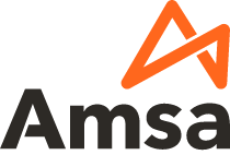 Amsa Camiones International