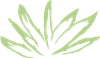 A drawing of a green leaf on a white background.