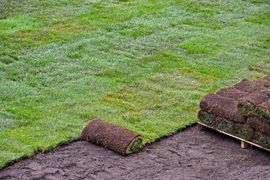 Landscaping and turfing