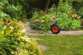 Garden maintenance