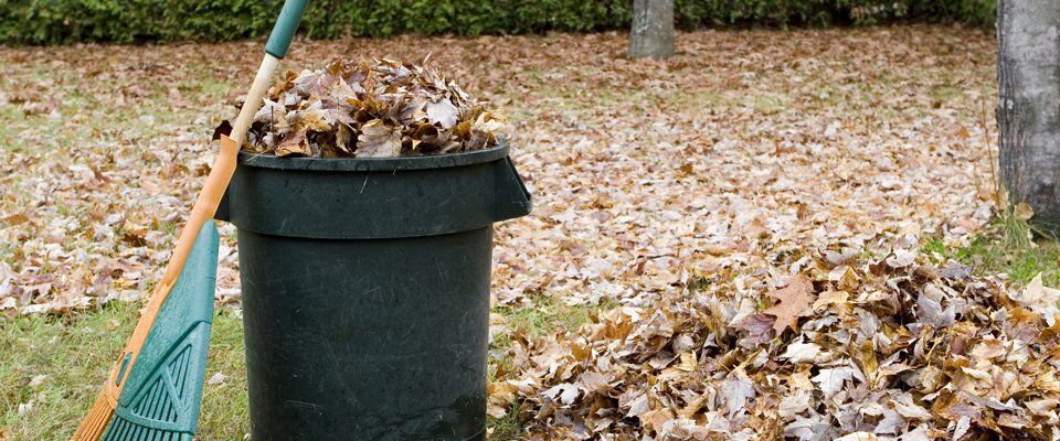 Garden clearances 1