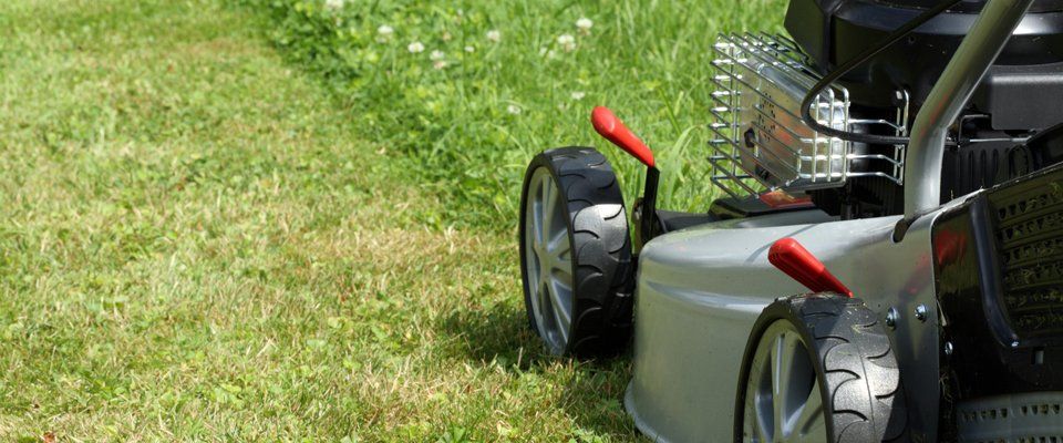 Garden maintenance