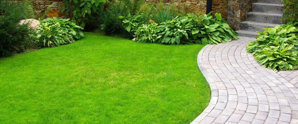 Grass cutting and lawn care