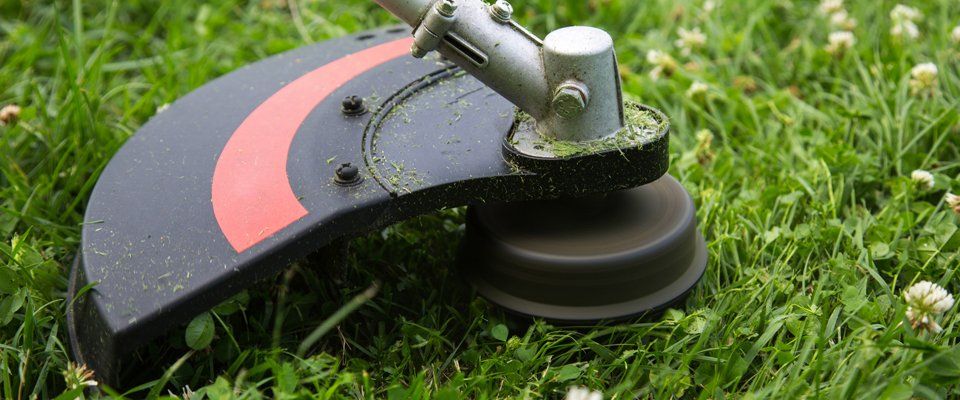 Lawn maintenance