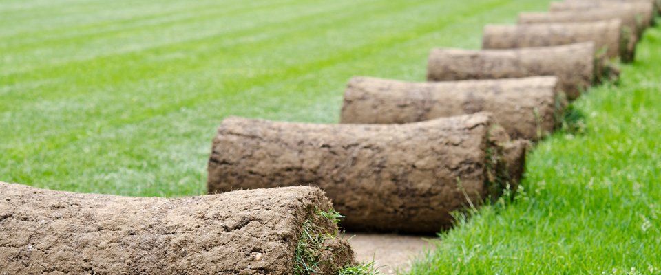 Hard and soft landscaping experts 3