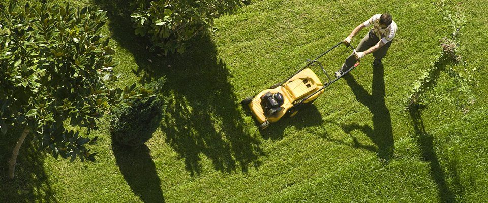 Hard and soft landscaping experts 1