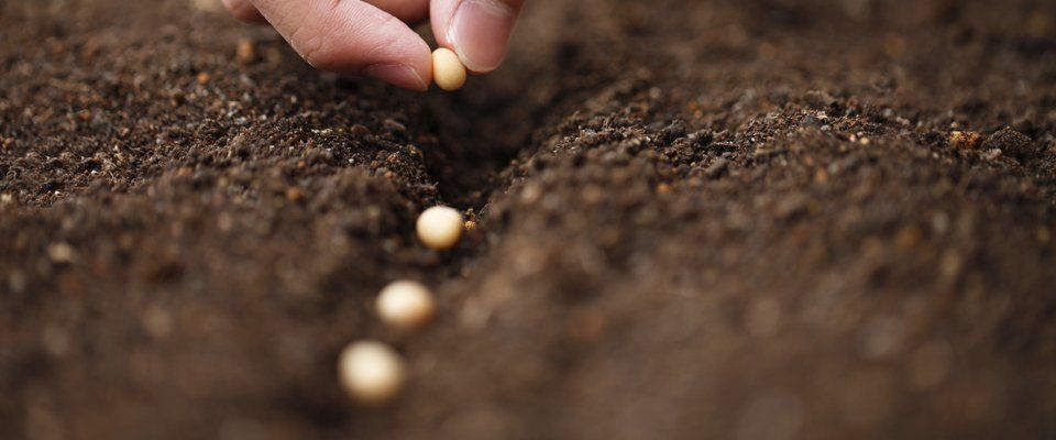 Tailored planting schemes 2