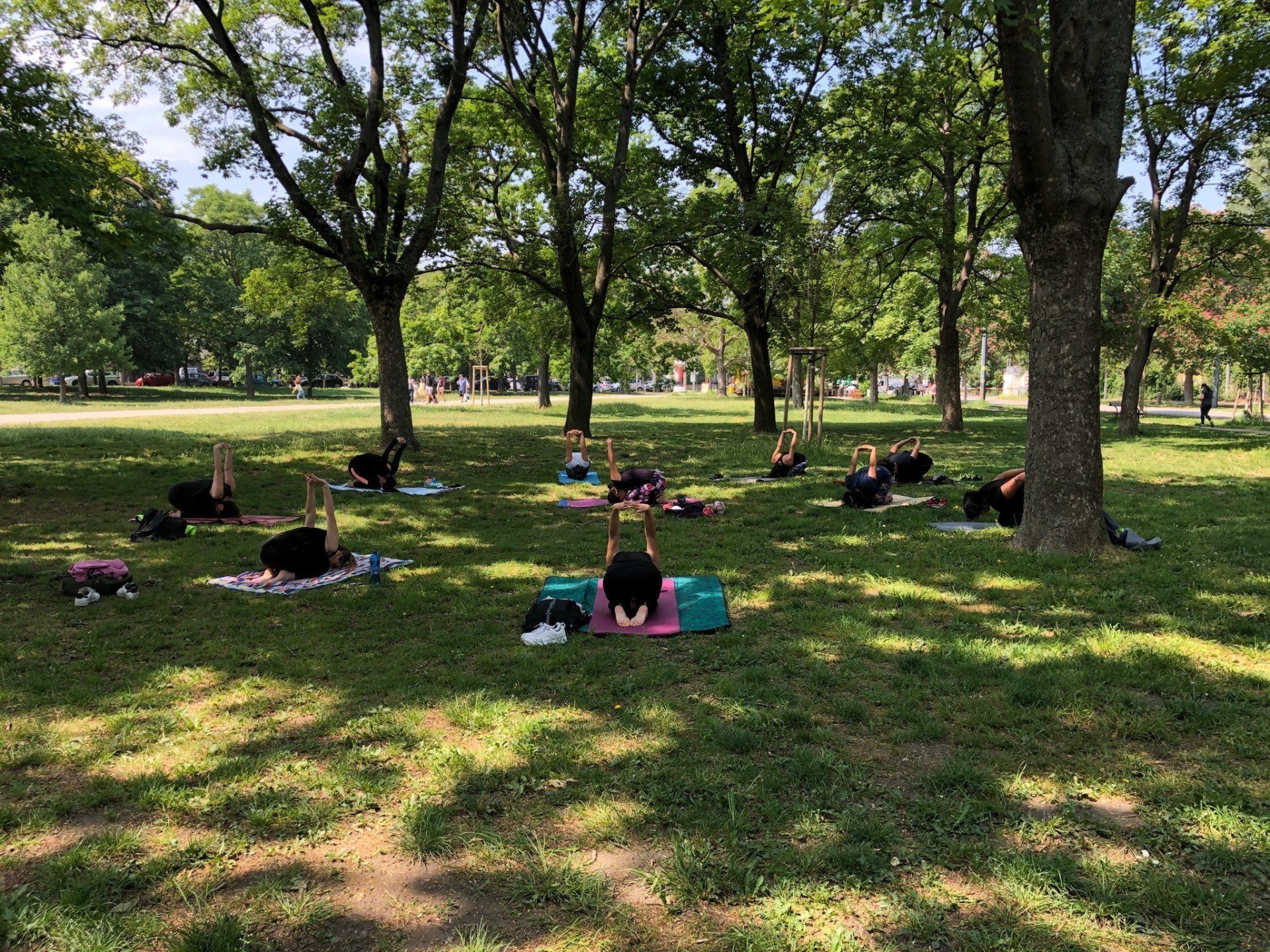outdoor yoga yoga in fresh air