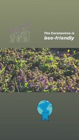 Save the bees The coronavirus is bee-friendly