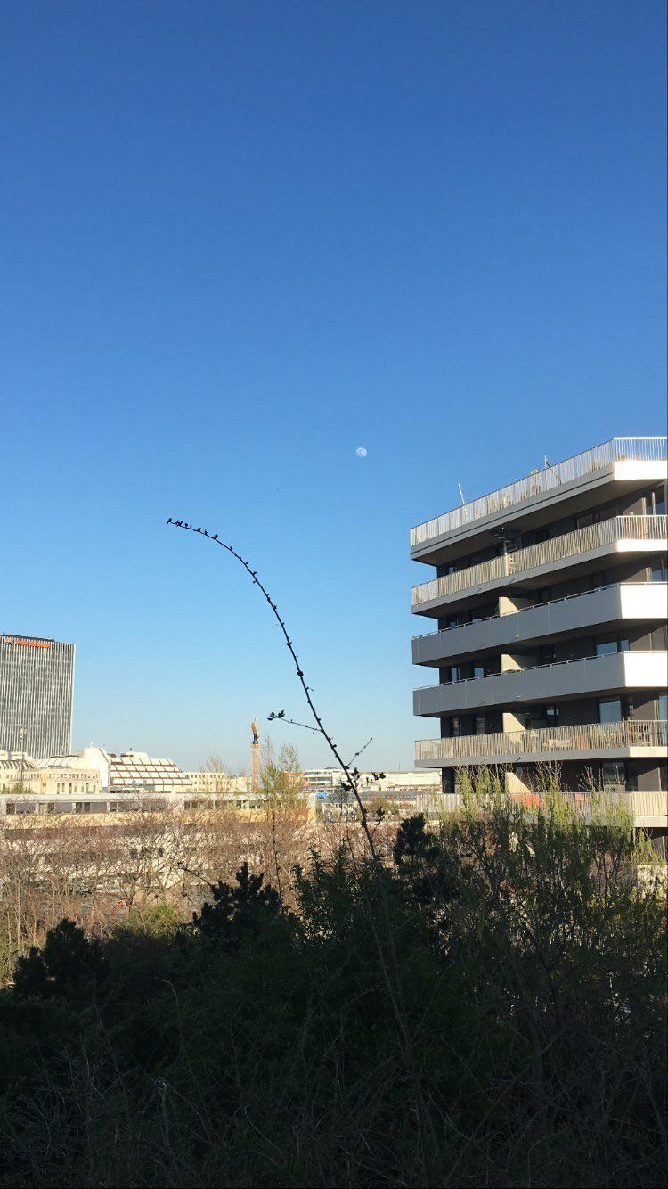 Fullmoon We observe clear, blue sky even in the city