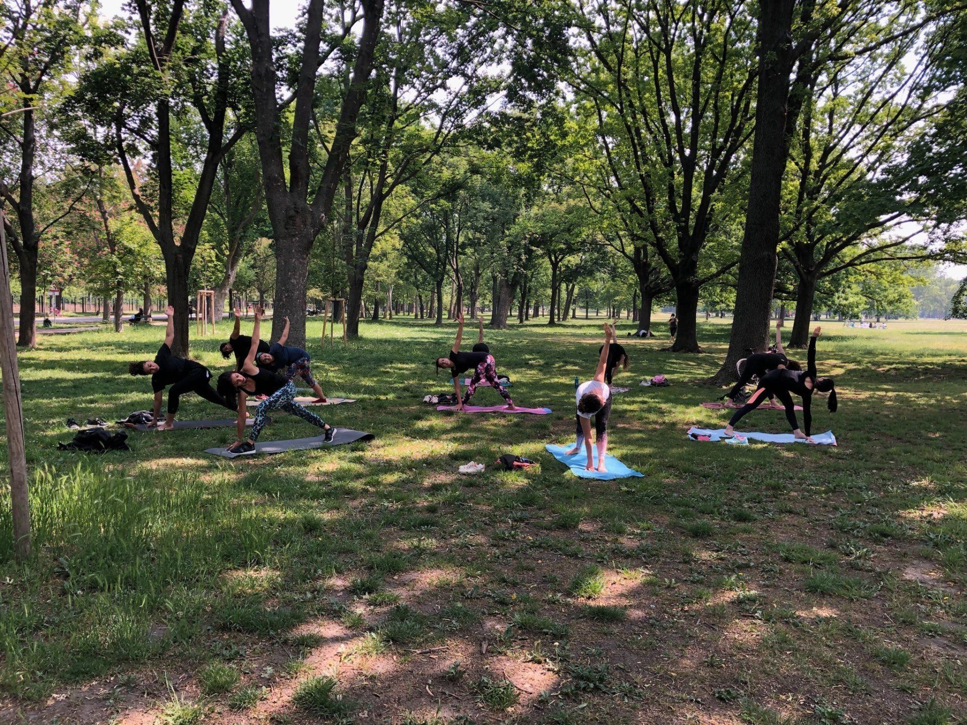 dynamic yoga yoga in the park 2020 was a highlight