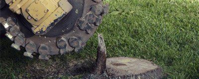 image-106210-300x120-1.jpg?1415653524413