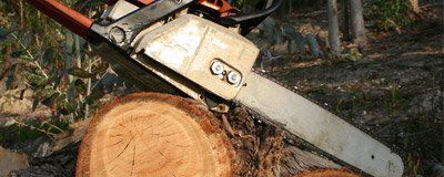 image-106211-300x120-2.jpg?1415654025123