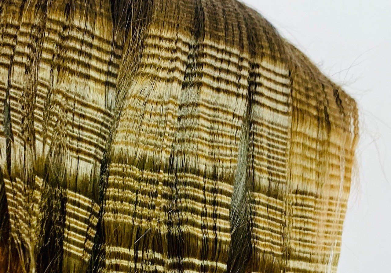Hair Style
