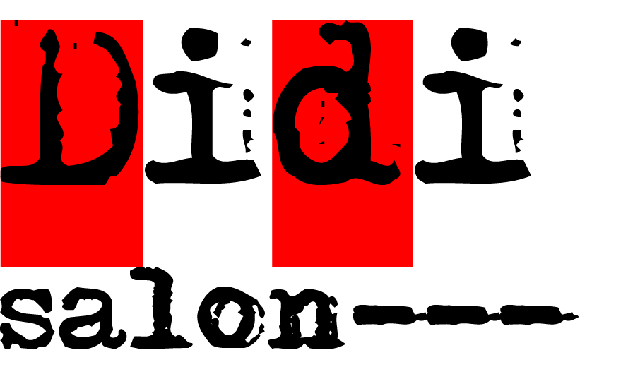 Didi Salon Logo