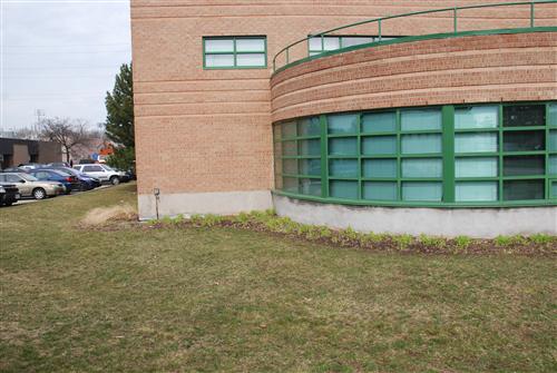 Before the planting